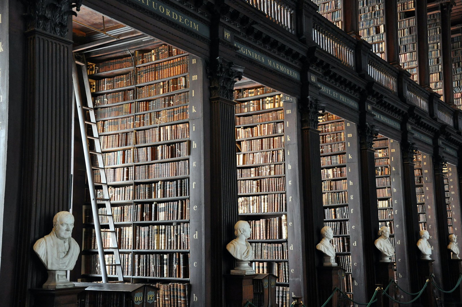 I’ve Completed My Law Degree – What Next?