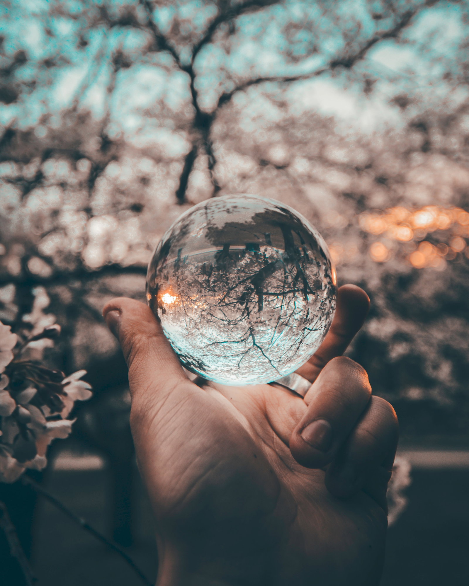 person holding round glass ball