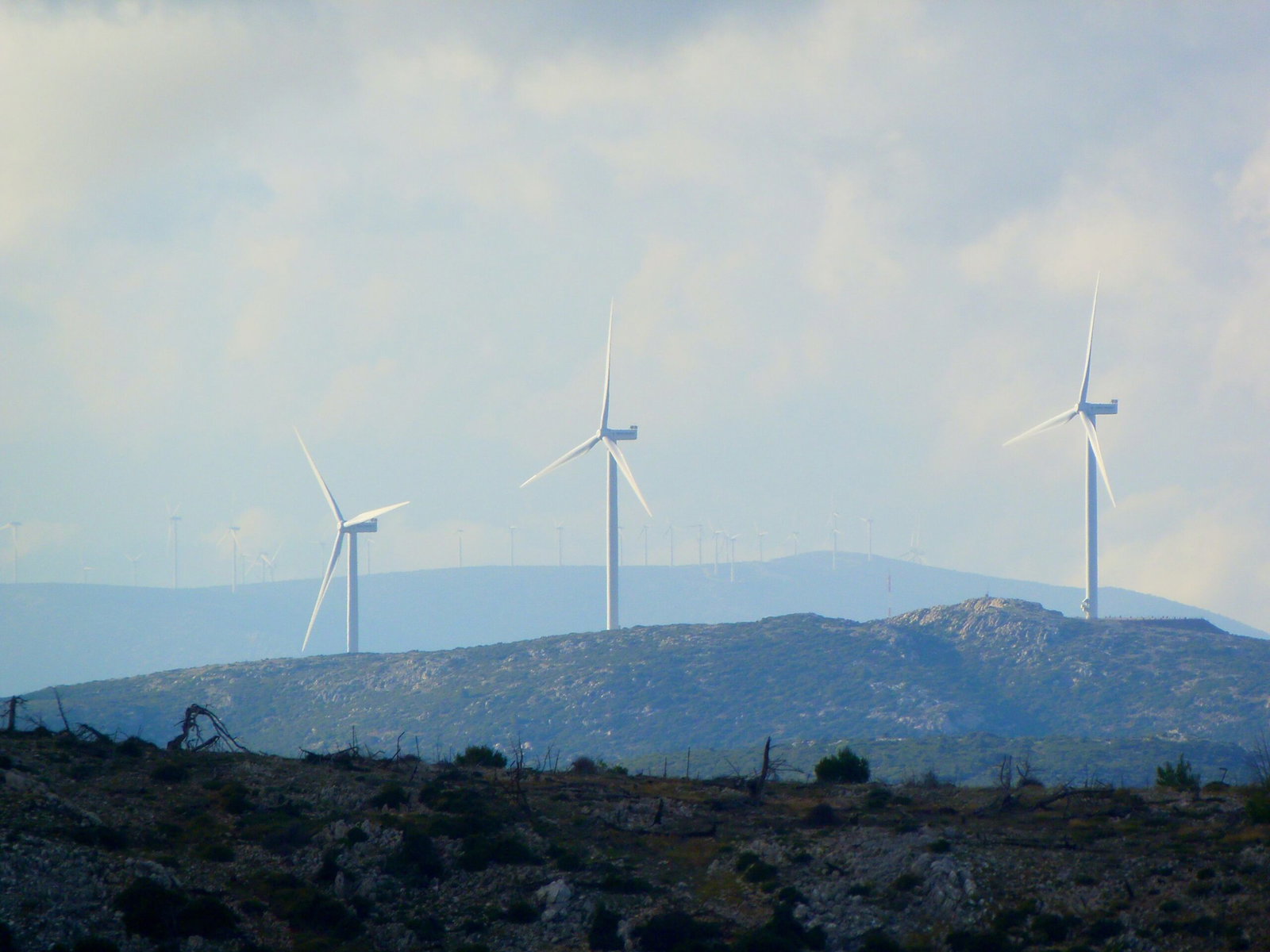 From Green to Gold: How ESG Practices Are Transforming Malaysian Businesses