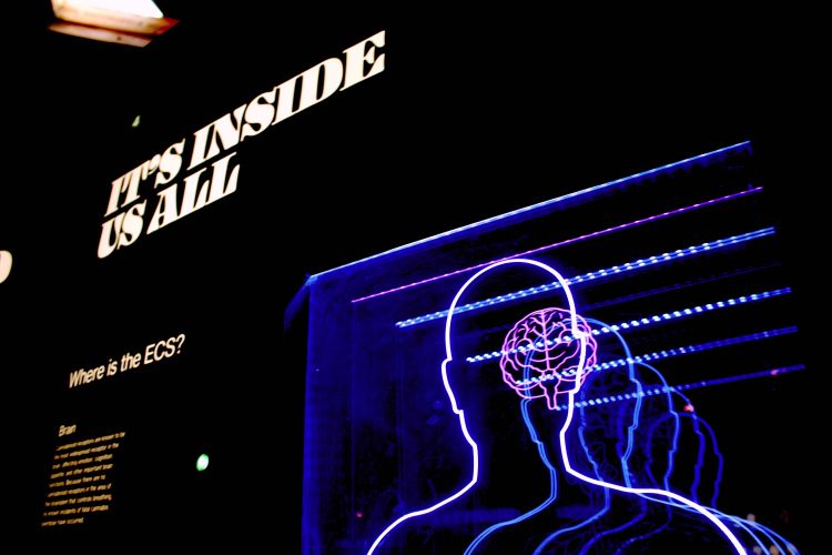Psychology Careers You Haven’t Heard Of
